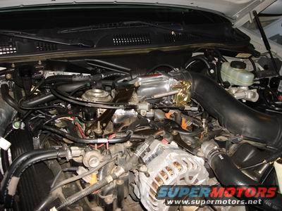 Engine bay of a 1998 Ford Crown Victoria, showing the alternator, intake manifold, and various hoses