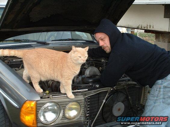 supervtsor-3.jpg me and my cat