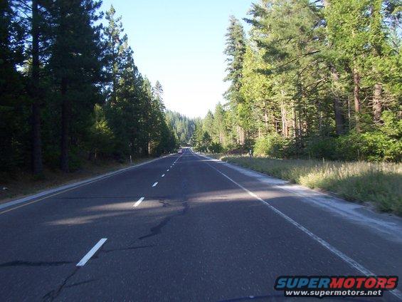 Driving on a two-lane road surrounded by tall pine trees under a clear blue sky