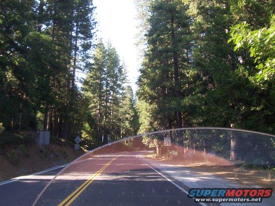 Road through a forest with a speed limit sign visible