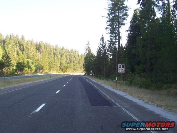 Highway scene with trees and a 55 mph speed limit sign