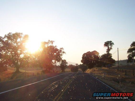 Driving down a rural road with sun low in the sky, trees on the side, clear sky