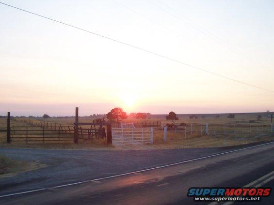 roadside view of a fenced field with trees and a sunset in the distance