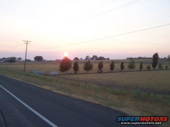 Rural landscape with a road and a line of trees under a pale sunset sky
