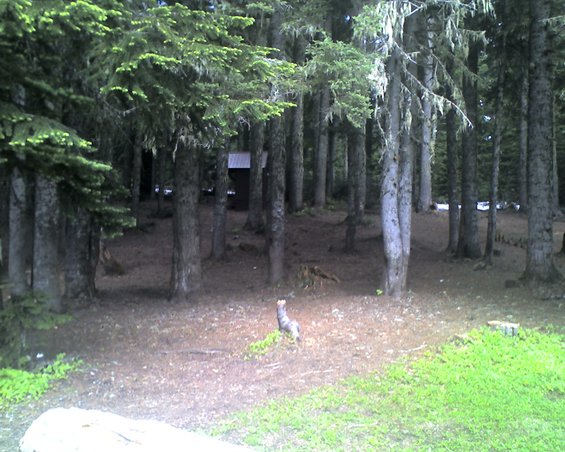 071808_1107.jpg