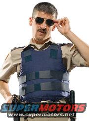 reno_junior_r3.jpg 