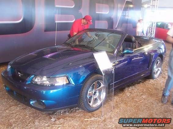 dcp_0088.jpg 2004 SVT Mustang Cobra