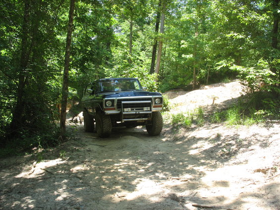 Dark blue 1978 Ford Bronco on a wooded dirt trail
