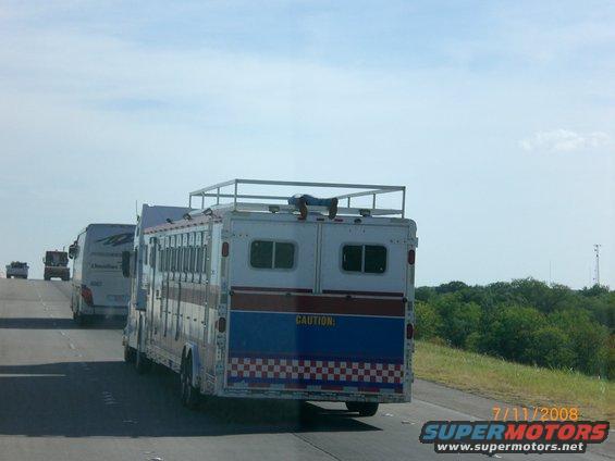 Horse trailer with blue and red stripes on highway, person on roof