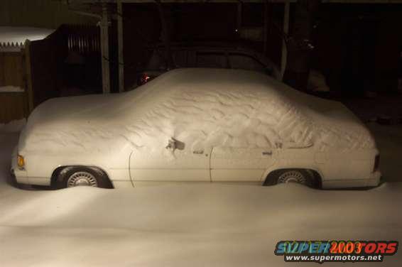 100_0542_2.jpg Buried Alive