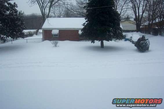 snowy backyard with a brick house, evergreen tree, and bare trees