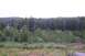 1989 Ford Bronco II - A wide view of a wooded area with a body of water visible through the trees under a cloudy sky.