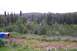 1989 Ford Bronco II - A wide view of a wooded area with a small structure and recreational equipment in the foreground.