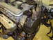 1994 Ford Probe - old disty in new motor. ze came with destroyed disty. not a problem since it didnt look like i had the right connectors…