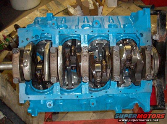 bottom assembly