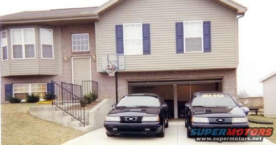 shos_18.jpg Basking in the sun,in front of the homefront.