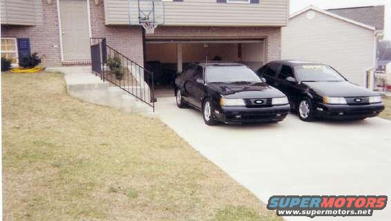 shos_19.jpg Side view of my babies.