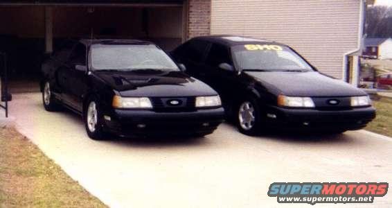 my_shos_copy.jpg My babies,Lola on the left and Betsy as my wife and daughters call her on the right.