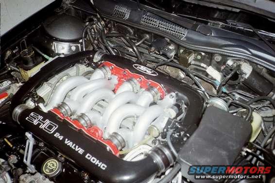 pic_14.jpg Cleaned and detailed.