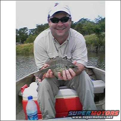 bream.jpg
