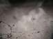 2002 Ford Excursion - TRACKS2