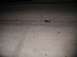 2002 Ford Excursion - TRACKS3