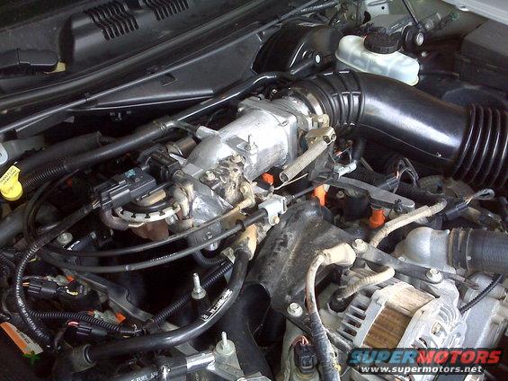 2004 Ford Crown Victoria engine bay with alternator, intake manifold, and spark plug wires visible