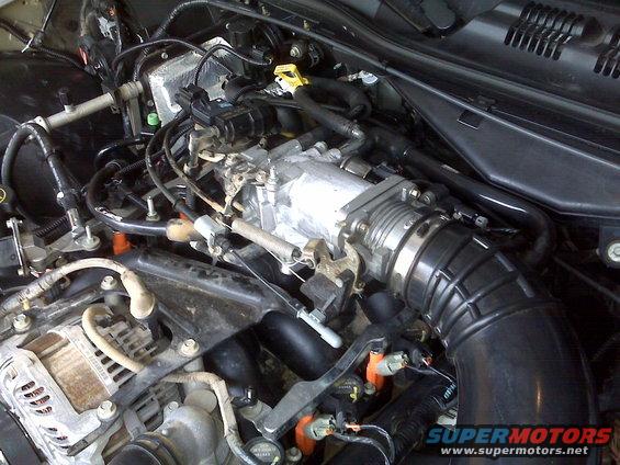 engine bay with throttle body, alternator, and various hoses and wires