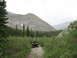 2008 Honda RANCHER - An ATV travels down a gravel path through a dense forest with a large mountain range in the background.