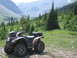 2008 Honda RANCHER
