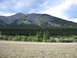 2008 Honda RANCHER - The view from my trailer