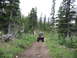 2008 Honda RANCHER