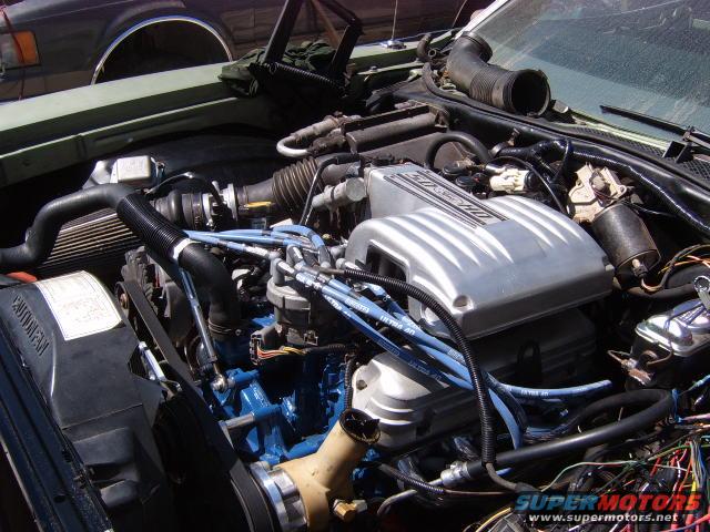 s4300034.jpg 