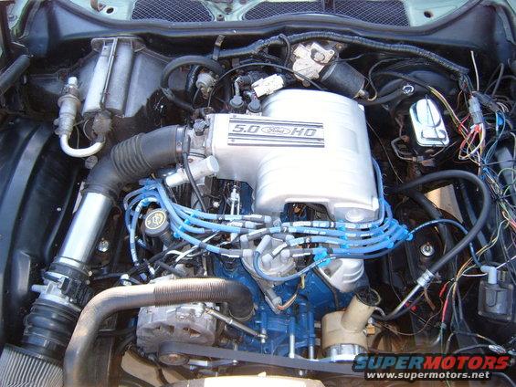 s4300040.jpg 89 linc.MK VII LSC 5.0 HO.91 mustang harness,mass air,A9P eec,aod,Patriot ceramic mid lengh headers.2 1/2 x-pipe,gibsons,morroso wires,1" plenium, spacer.march brackets,KnN