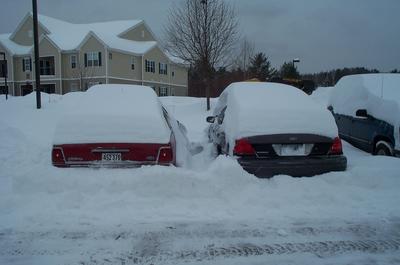 winter8.jpg 
