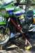 1981 Kawasaki Bayou - A green and purple Kawasaki motorcycle is secured with straps to a trailer ramp, with 'Race Tech' visible on the front fork.