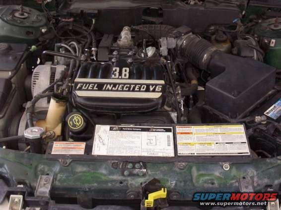 motor.jpg Front straight view of the beastly 3.8L (232 cid) V6