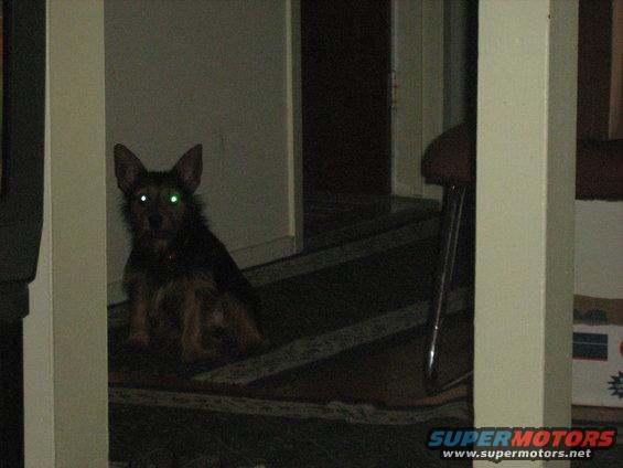 img_0001.jpg 7-29-08