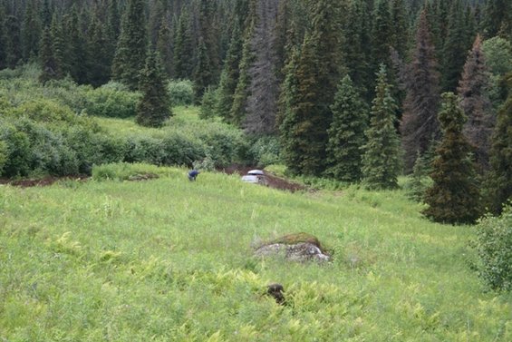 img_0154.jpg