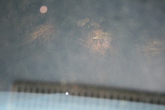 Blurry reflection of trees and a building on a glass surface