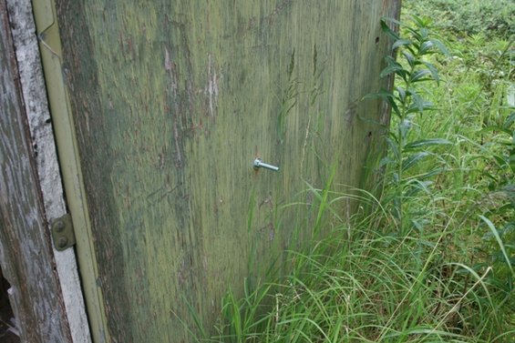 Weathered green wooden door with a bolt and overgrown grass
