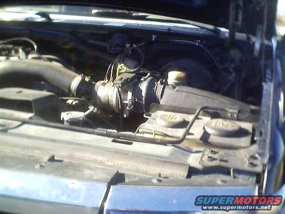 Engine bay with air intake and various hoses