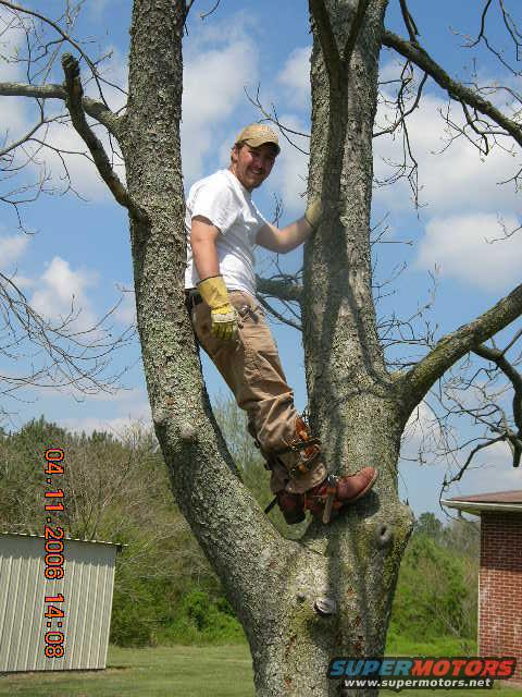 lineman-rodeo-059.jpg 