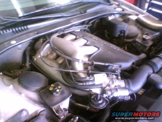 jaguar-im.jpg jaguar IM 