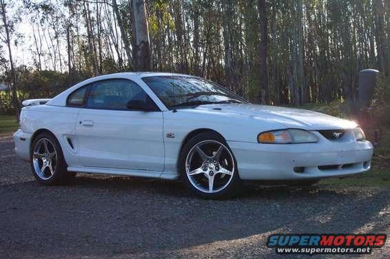 Mustang