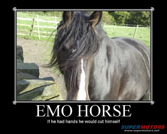 emohorsebs9.jpg 
