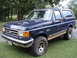 1989 Ford Bronco - This Ford Bronco features a two-tone paint scheme and a roof rack, parked outdoors on a grassy lawn.