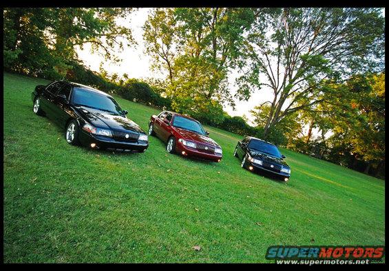 summer-meet1.jpg Local Mustang summer meet. L to R: Embassy, MM2004, Drewstang