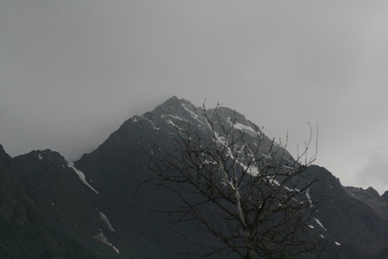 Mountain peak with snow, bare tree branches in foreground, overcast sky