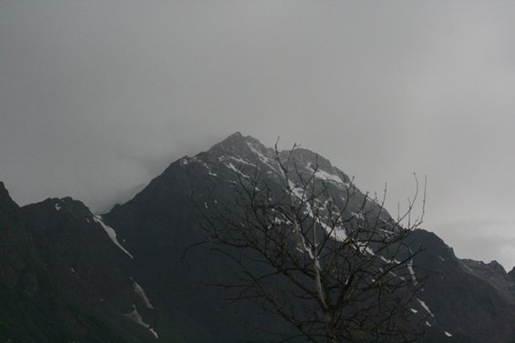Mountain peak with snow patches and a bare tree in the foreground under a cloudy sky